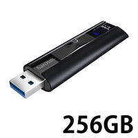 サンディスク エクストリーム　プロ　ＵＳＢ３．１　フラッシュメモ SDCZ880-256G-J57 1枚