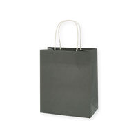 【ケース販売】HEIKO 紙袋 スムースバッグ 22-12 ナチュラルグレー 003156099 1ケース(25枚入×12袋)（直送品）
