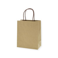 【ケース販売】HEIKO 紙袋 スムースバッグ 22-12 ライナー無地 003156098 1ケース(10枚入×20袋)（直送品）