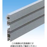 椿本チエイン バイソクチェーン RF2080VRPーPR1 1セット(2個)（直送品）