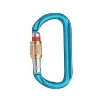 AUSTRIALPIN ALPIN カラビナ OVALO スクリューロック 線径12.5 グリーン KA13B-B-GI 1個（直送品）