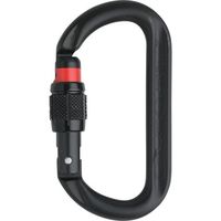 AUSTRIALPIN ALPIN カラビナ OVALO スクリューロック 線径12.5 ブラック KA11B-X-GI 1個（直送品）