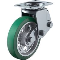 SKY-2R200AW(AR)GR-A-2（直送品）