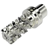 セコ・ツールズ・ジャパン セコ フライス スクエアT4カッター C6-R217.94-050-081-12.4SA 1個 428-5205（直送品）