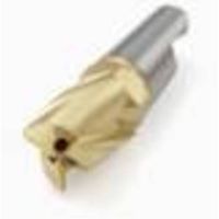 セコ フライス ミニマスターヘッド MM10 F30M MM10-10012-R10A30-E03 1セット(2個)（直送品）