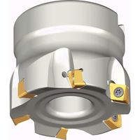 テグテック TEAGUTEC ミーリングカッター チェイス4ミル 4N TF90-863-22R-06 1本 439-9998（直送品）