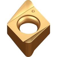 テグテック TEAGUTEC ミーリング加工用チップ チェイス4ミル 4NKT 060312R-ML TT6080 1セット(10個)（直送品）