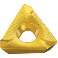 テグテック TEAGUTEC ミーリング加工用チップ ミルラッシュ 3PKT 100408R-ML TT8020 1セット(10個)（直送品）