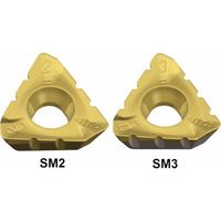 テグテック TEAGUTEC ミーリング加工用チップ ミルラッシュ 3PKT 150508R-SM2 TT8525B 1セット(10個)（直送品）