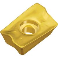 テグテック TEAGUTEC ミーリング加工用チップ チェイスミル APKT