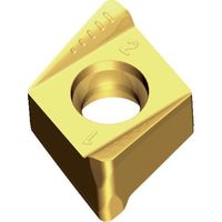 テグテック TEAGUTEC ミーリング加工用チップ チェイス4ミル 4NKT 110608 PNR