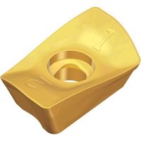 テグテック TEAGUTEC ミーリング加工用チップ チェイスミル APKT 1705 PER-EM TT8080 1セット(10個)（直送品）