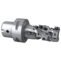 セコ・ツールズ・ジャパン セコ フライス ターボミル カッター C5-R217.69-032-055-12.3AN 1個 428-2025（直送品）