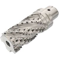 セコ・ツールズ・ジャパン セコ フライス ターボミル カッター C6-R217.69-063-107-12.5SAN 1個 429-9200（直送品）