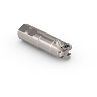 セコ・ツールズ・ジャパン セコ フライス 丸駒カッタ R217.29I―06 R217.29I-3232.3-06.3.060A 1個（直送品）