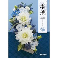 シャディ カタログギフト 瑠璃 蒲公英 1649126 1冊（直送品）