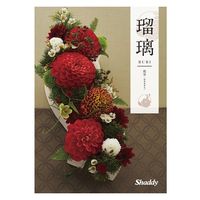シャディ カタログギフト 瑠璃 霞草 1649130 1冊（直送品）