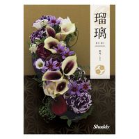 シャディ カタログギフト 瑠璃 紫苑 1649127 1冊（直送品）