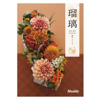 シャディ カタログギフト 瑠璃 桜草 1649131 1冊（直送品）