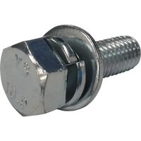 コノエ 10.9六角トリーマ組込Iー3 三価クロメート 10x30 BTI3-109-3W-1030 1セット(10本) 270-3508（直送品）