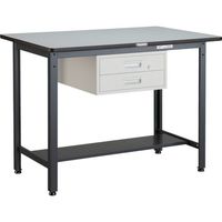 トラスコ中山 TRUSCO HAEWR型立作業台 1200X750XH885 2段引出付 HAEWR-1275F2 1台 278-1573（直送品）