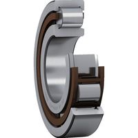 SKF 単列円筒ころ軸受 NJ型 内径20mmX外径52mmX幅21mm NJ 2304 ECP 1個 390-5468（直送品）