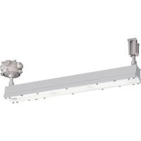岩崎電気 岩崎 安全増防爆形LED照明器具Hf32w×2灯用高出力相当(直付) EYICL1041SA9-16 1台 362-2354（直送品）