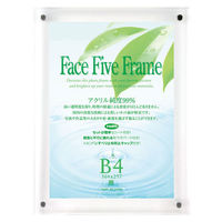 アートプリントジャパン フェイスファイブフレーム(N) B4 クリア 0030736688 1枚（わけあり品）