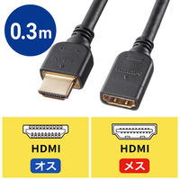 サンワサプライ HDMI延長ケーブル 0.3m KM-HD20-UEN03 1本