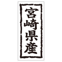 TTK Nx V[ {茧Y^e 41-20593 1ZbgF5000Ёi1000Бܓ×5jiij