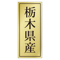 TTK Nx V[ Ȗ،Y 41-20605 1ZbgF5000Ёi1000Бܓ×5jiij