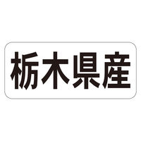 TTK Nx V[ Ȗ،YR 41-20684 1ZbgF5000Ёi1000Бܓ×5jiij