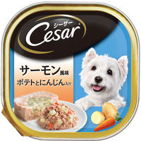 マースジャパン シーザー　トレイ　あじわいサーモン風味　ポテトとにんじん入り１００ｇ 4902397822202（直送品）