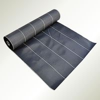 日東電工 日東 ニトフロン含浸ガラスクロスフィルム No.970―2UL 0.05mm 