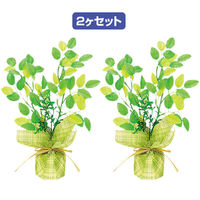 アルファ 若葉ペアラッピング TE2-0418 1セット（直送品）