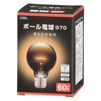 オーム電機 G70ボール球60Wクリア 06-0869 1個