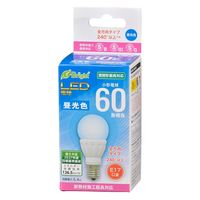 I[d@ LEDd PS E17 6W F 06-4336 1iij