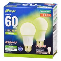 オーム電機 LED電球 A E26 7W 電球色2P 06-4352 1個 - アスクル
