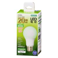 I[d@ LEDd A E26 2.6W N 06-4452 1iij