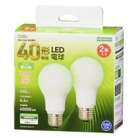 株式会社オーム電機 LED A E26