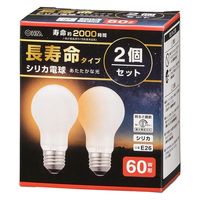 電球形蛍光灯（E26口金 60W形タイプ） 通販 - アスクル