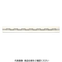 スガツネ工業 長丁番 LH型 LHー100A 1セット(2個)（直送品）