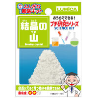 ルミカ E29950 結晶の山　1パック（直送品）