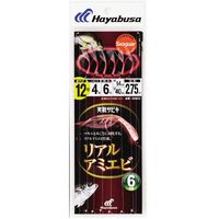 nuT HB SS022-12-4  AA~Gr 6{b 1pbNiij