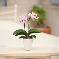 AoyamaLab MtgJ[h l j 蕨 e[uӒ(32{ WsN) diij