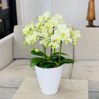 AoyamaLab MtgJ[h l j 蕨 ~fBӒ(65{ CG[n) diij