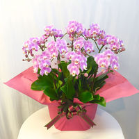 AoyamaLab MtgJ[h l j 蕨 VFAI[LbhE10l(1010{ WsN) diij