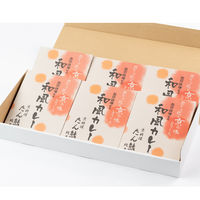 AoyamaLab 【桐箱入りギフトカード】たん熊北店和風カレー詰合せ（6食セット） 専用紙袋付き