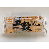 前田製菓 五穀たっぷりクラッカー 12枚×20個入 677155 1セット（直送品）