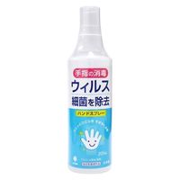 ハンドスプレー 4971902925738 200ML×6点セット 紀陽除虫菊（直送品）